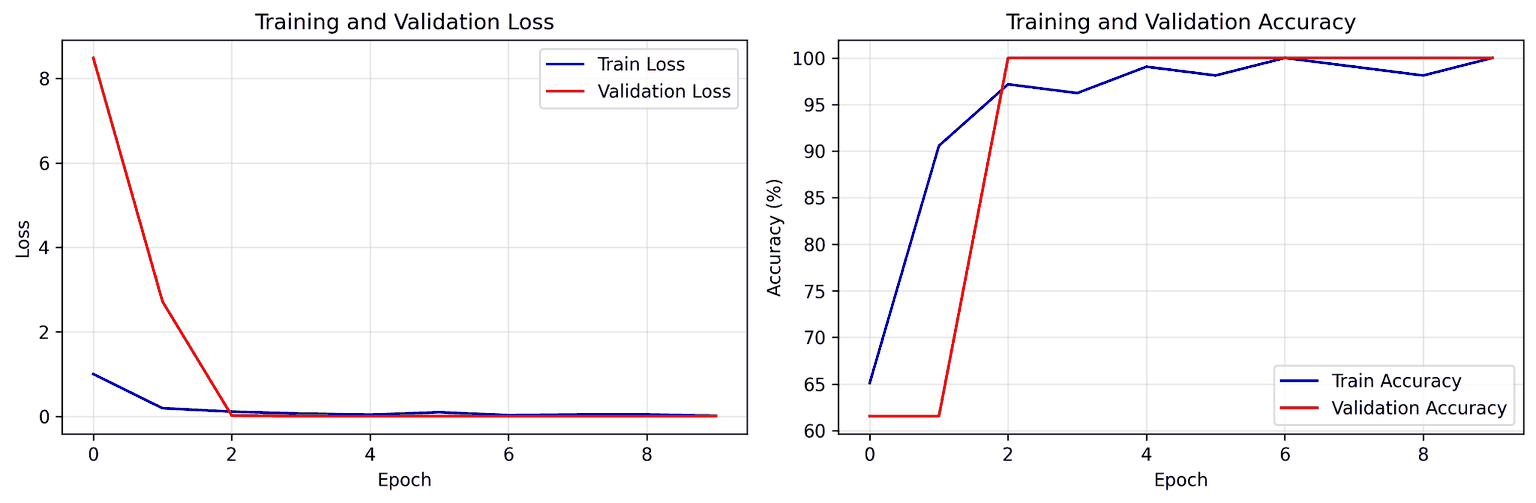 Training and validation loss and accuracy curves over ten epochs, with validation accuracy reaching one hundred percent by the third epoch